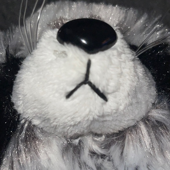 WEBKINZ Ganz RACCOON RETIRED HM143 w/hang &but Tag No Code plush stuffed animal - Picture 13 of 16